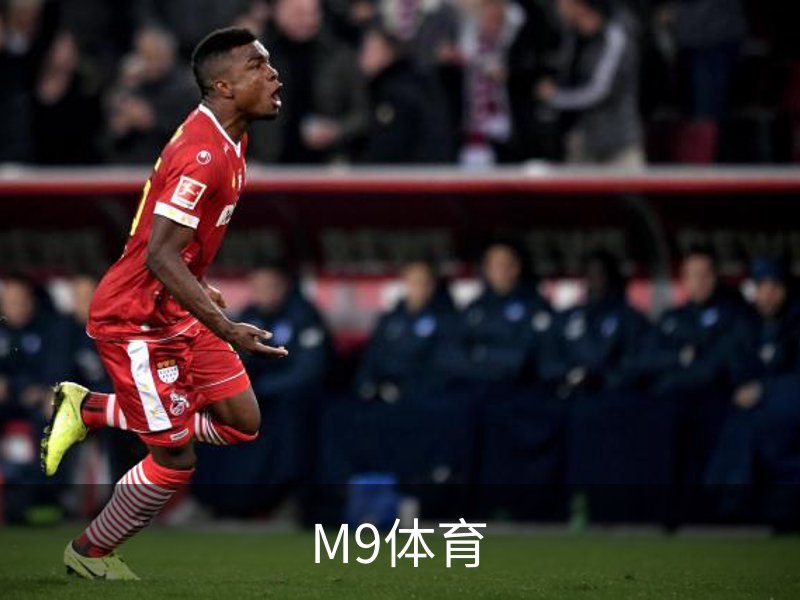 了解M9体育